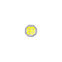 NEXTORCH NEXTORCH taktische Taschenlampe TA31