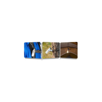 Nextorch NEXTORCH Outdoor Campinglampe UL360