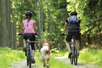WalkyDog WalkyDog plus Abstandshalterung Anbindevorrichtung für den Hund am Fahrrad oder Trike